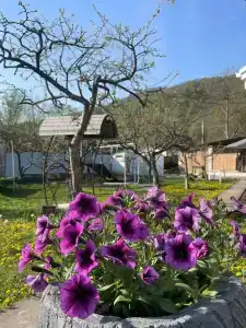 дом Relax in Adygea - 41