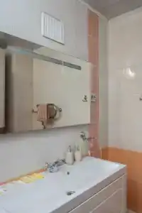 Уда - 46