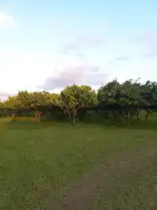 Джагат - Кемпинг Парк у моря - 6
