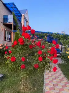 Гостевой дом на Виноградном 40 - 5