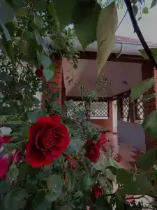 Domik u morya - 2