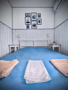 Ель Павелецкая - 17