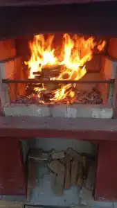 Коралловая - 6