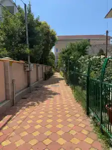 Амелия - 3
