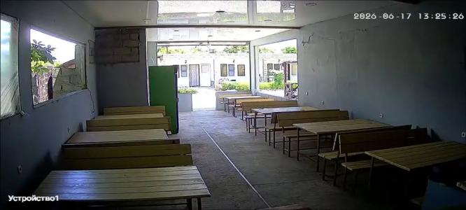 У Елены - 12