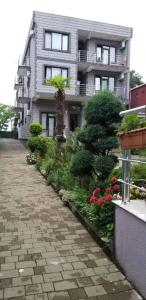 Nica - 10
