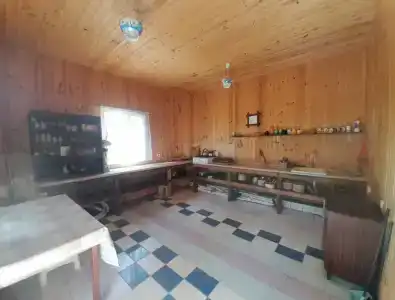 Эдельвейс - 3