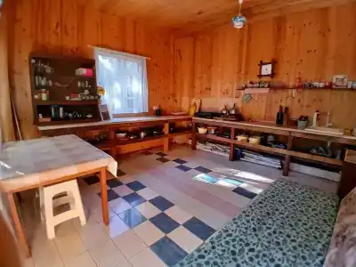 Эдельвейс - 13