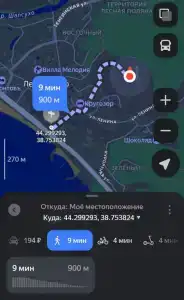 Эдельвейс - 15