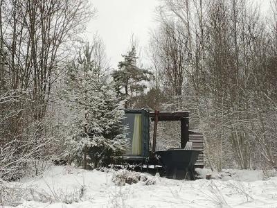 Forrest Home - 67