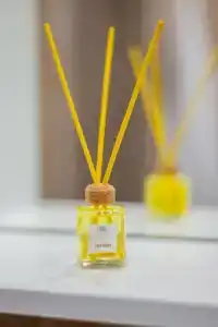 Mono - 3