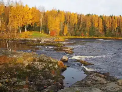 Хаски Моа - 2