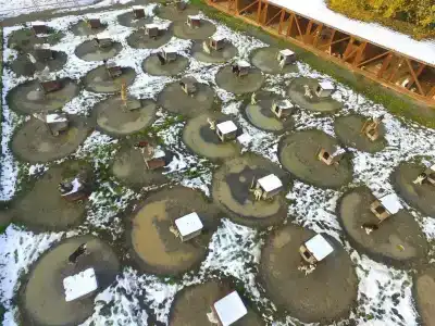 Хаски Моа - 5