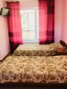 Вертикаль - 12