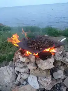 Eco Morskoe - 7