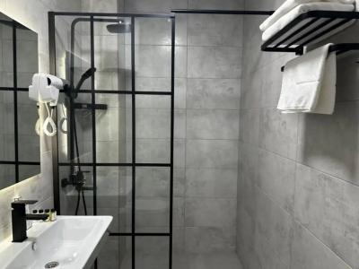 Sintem Premium - 60