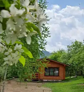 Мой Алтай - 25
