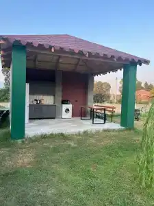 Лиана - 2