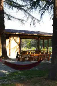 Кедровый - 4