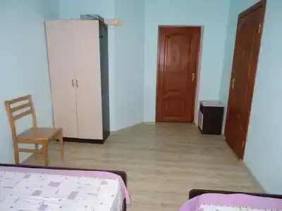 Флора - 16