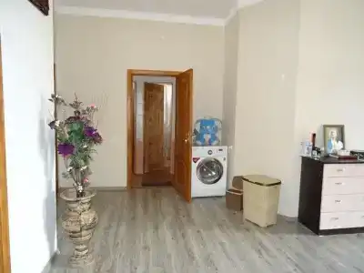 Флора - 17