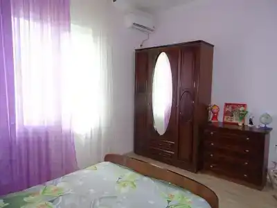 Флора - 21
