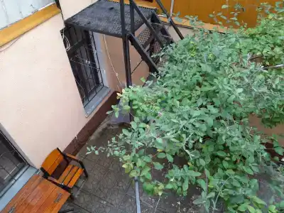 Панеа - 4