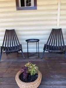 Конкордия - 98