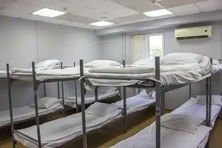 ЖивиТут - 3