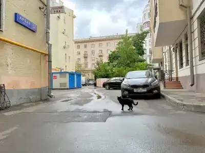 Арбатский - 7