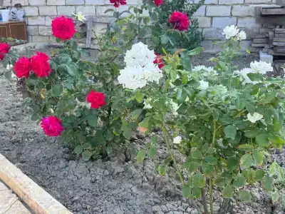 На Озёрной 29 - 3