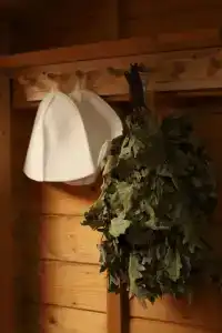 Сокол - 5