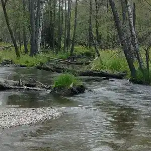Барлак - 11