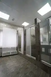 Все Медведи - 31