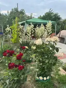 Гостевой дом у Людмилы - 7