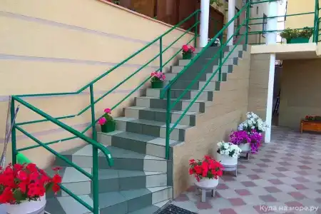 Кипарис - 5