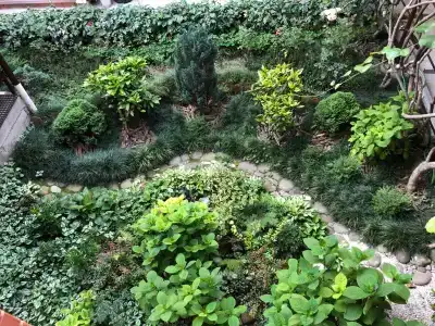 Василиса - 1