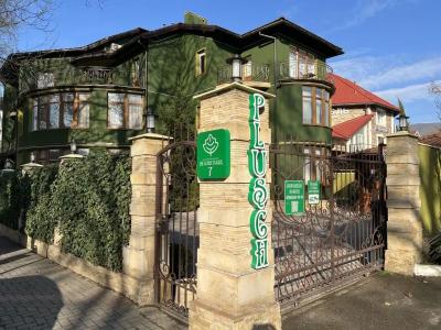 Плющ - 12