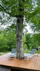 Архыз-Парк - 30