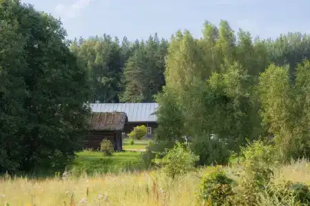 Мятный сад - 4