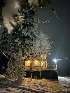 Ветви - 73