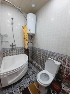 Apachi в горах Чимгана - 2