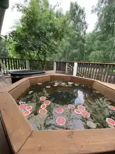 Саптан - 4