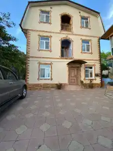 Дельфин - 2