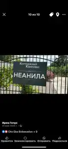 Неанила - 45