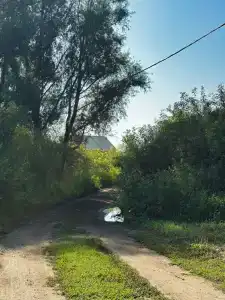 В кругу друзей - 1