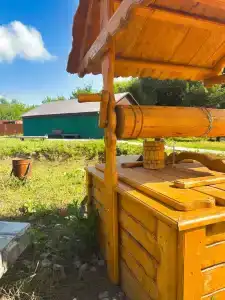 В кругу друзей - 5