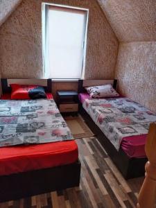 Ноев Ковчег - 13