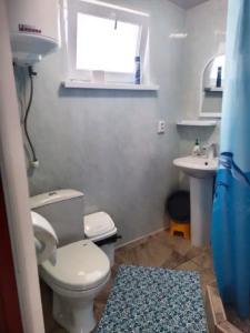 Ноев Ковчег - 14