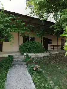 Ангелина - 1